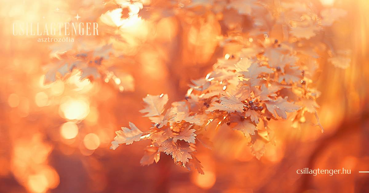 Őszi napéjegyenlőség 3