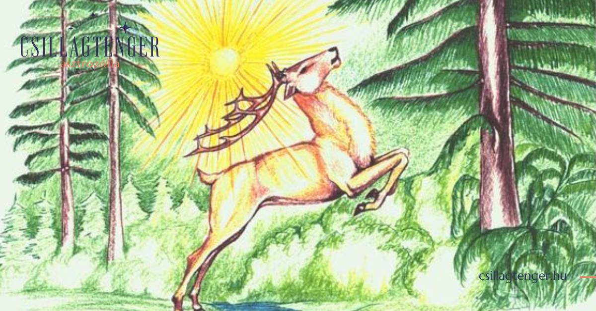 Sorsfordítás ereje